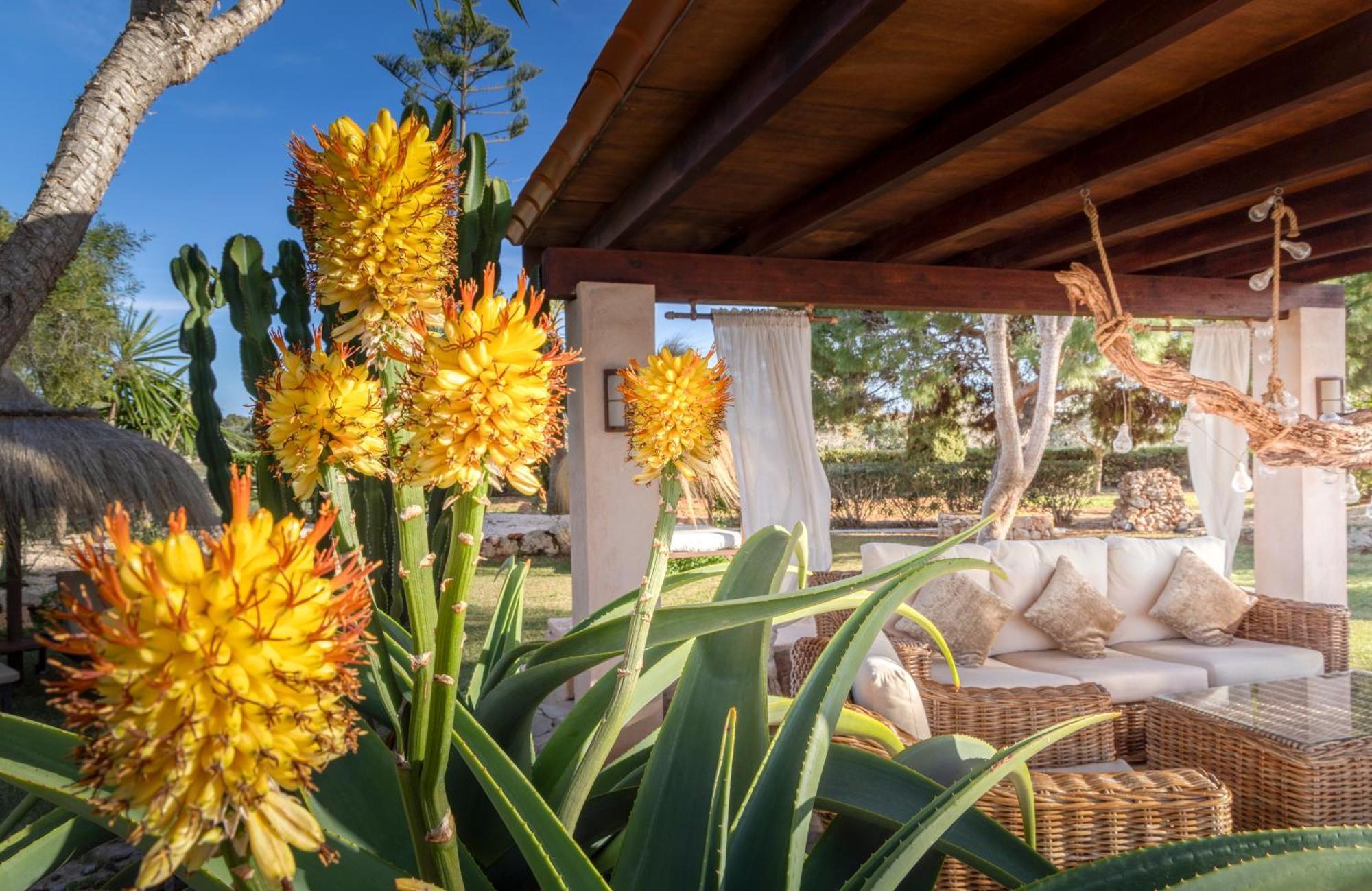 Agroturismo Finca Sa Tanca Cala d'Or  Exterior photo